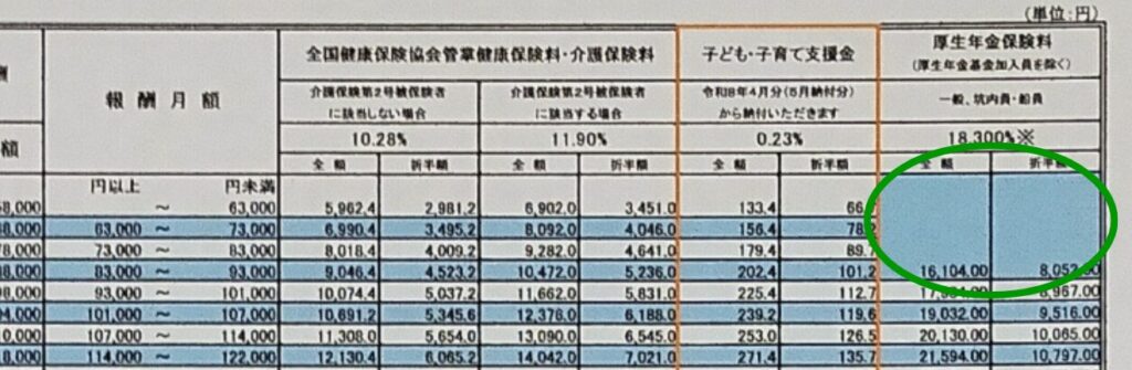 写真画像　厚生年金のゾーンにある空白部分のを緑色の丸枠で囲み、示している