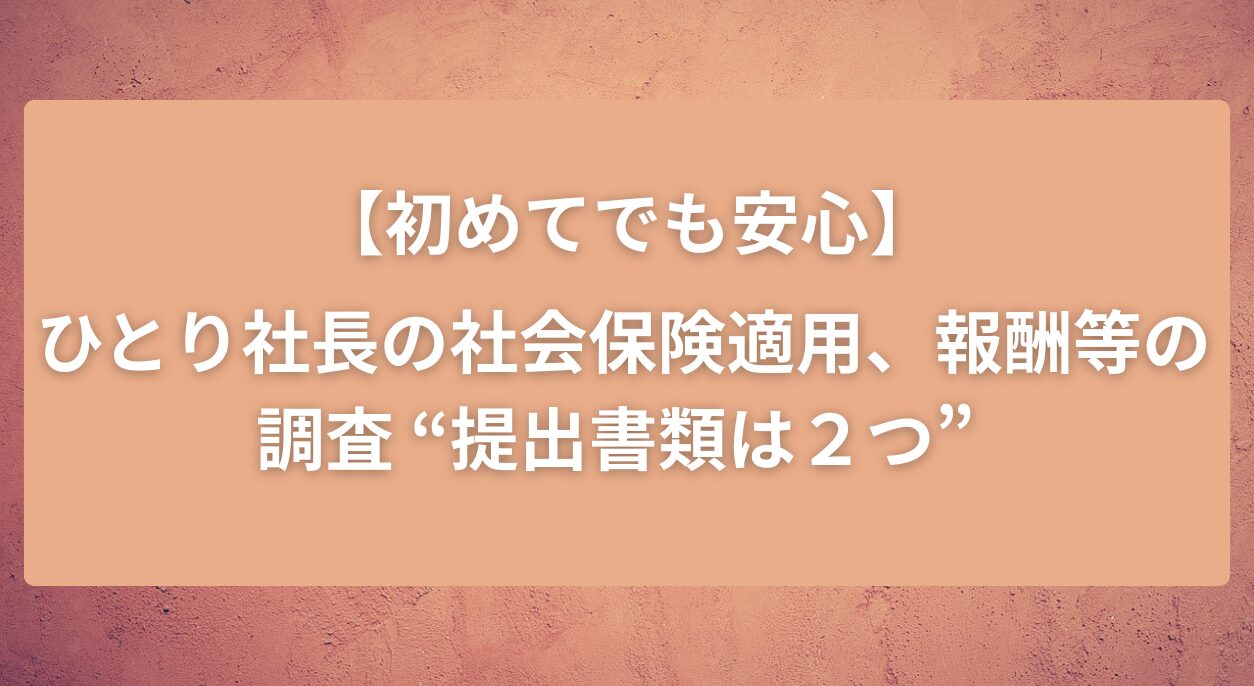 タイトル画像　【初めてでも安心】ひとり社長の社会保険適用、報酬等の調査“提出書類は２つ”